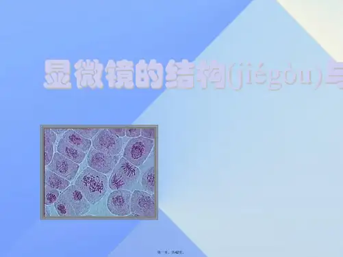 七年级科学上册第4章第2节显微镜的使用课件(新版)华东师大版