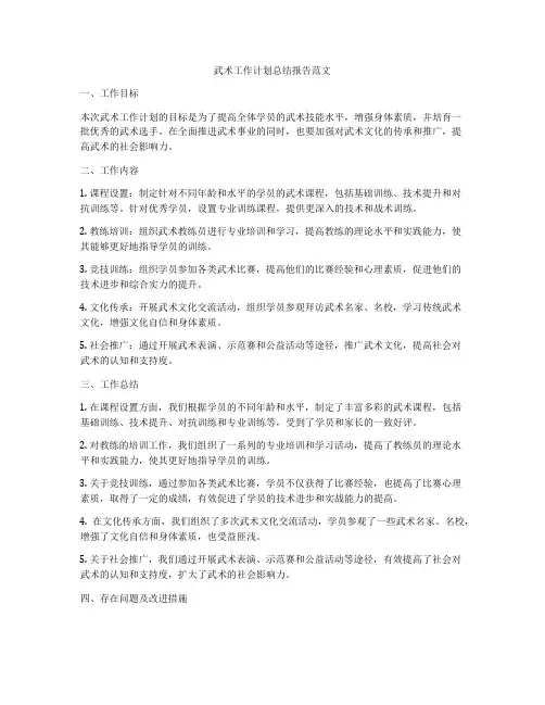 武术工作计划总结报告范文