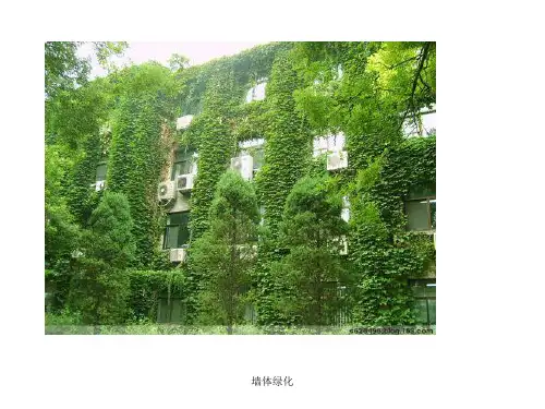 墙体绿化 ppt课件
