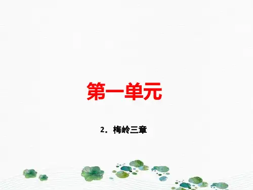 最新人教部编版九年级语文下册：2.梅岭三章 (共24张PPT)