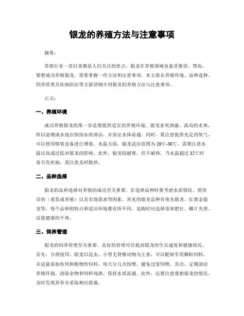 银龙的养殖方法与注意事项