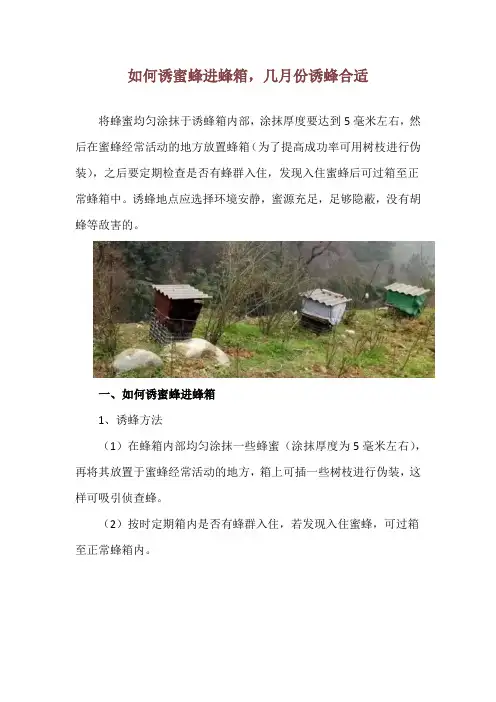 如何诱蜜蜂进蜂箱,几月份诱蜂合适