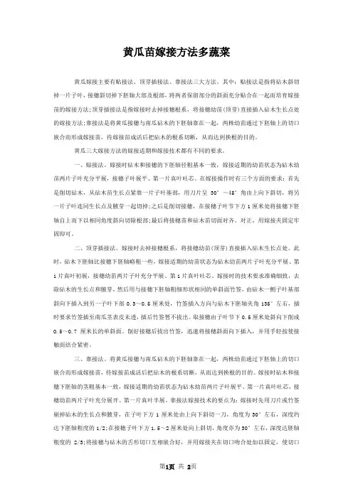 黄瓜苗嫁接方法多蔬菜