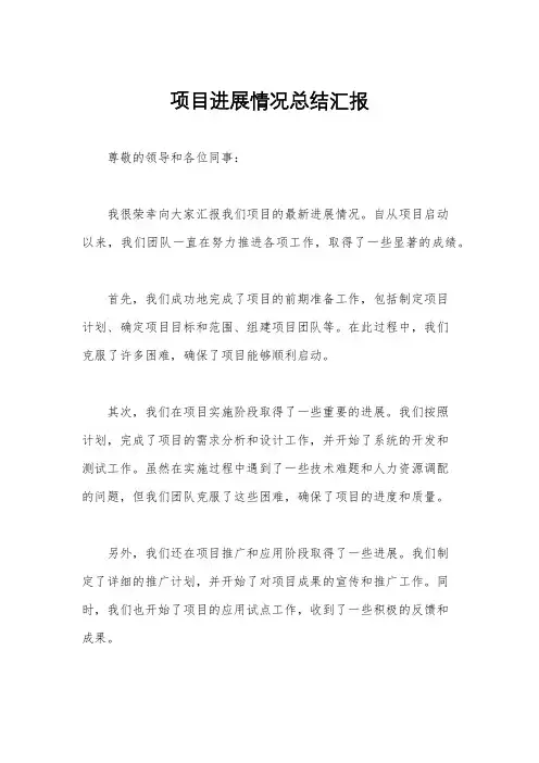 项目进展情况总结汇报