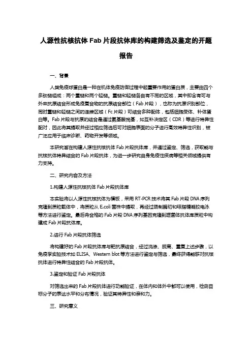 人源性抗核抗体Fab片段抗体库的构建筛选及鉴定的开题报告