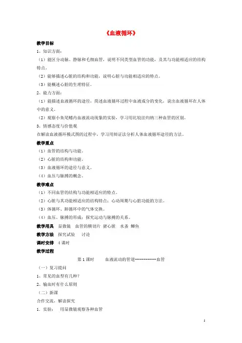 七年级生物下册-第9章-第二节-血液循环教案1-北师大版