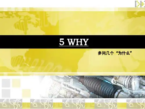 5WHY精典案例