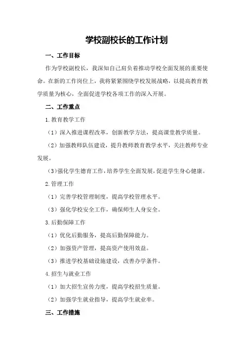 学校副校长的工作计划