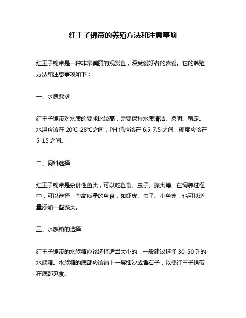 红王子锦带的养殖方法和注意事项