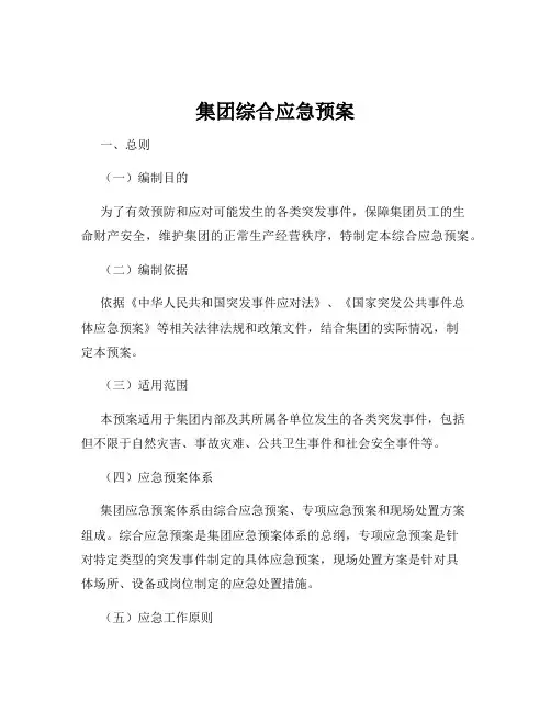 集团综合应急预案
