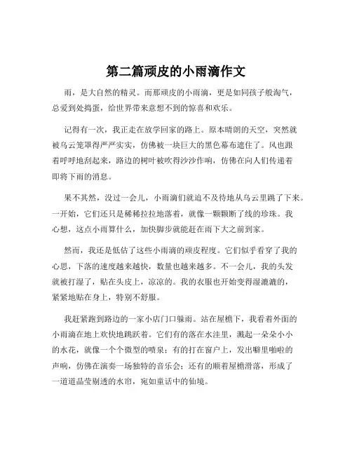第二篇顽皮的小雨滴作文