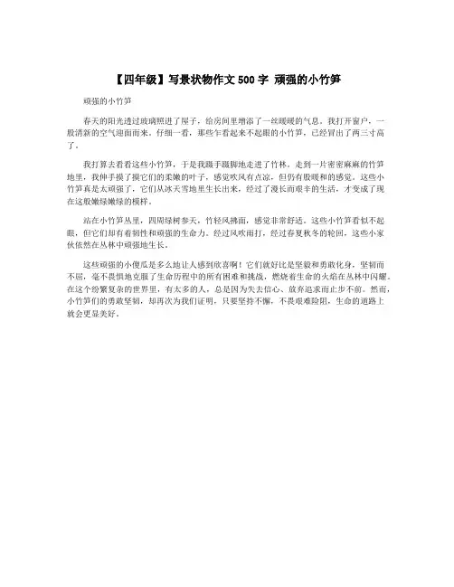 【四年级】写景状物作文500字 顽强的小竹笋
