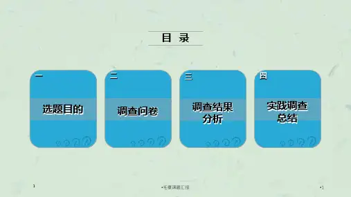 毛概课题汇报ppt课件