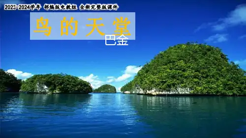 《鸟的天堂》教学课件(共25张PPT)