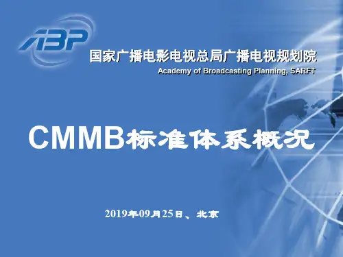 移动多媒体广播项目共27页