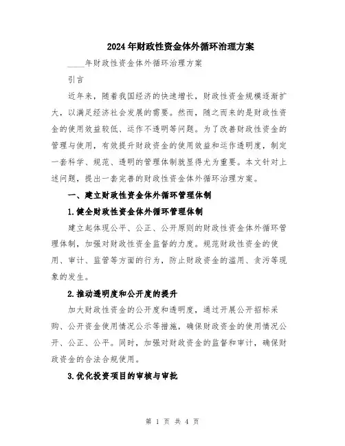 2024年财政性资金体外循环治理方案