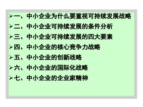 中国企业国际化战略探索PPT课件
