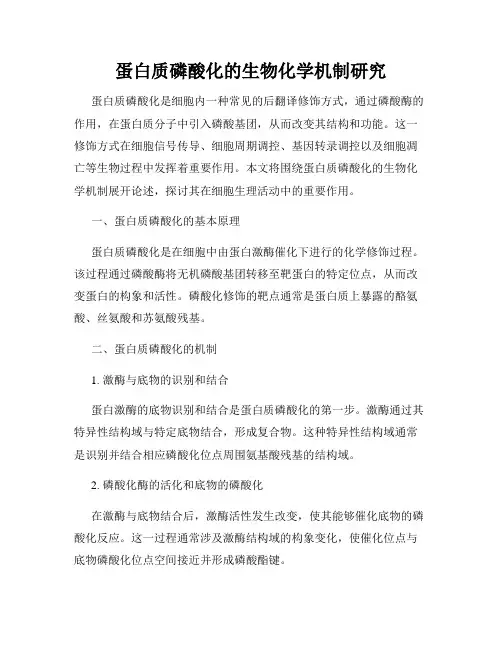 蛋白质磷酸化的生物化学机制研究