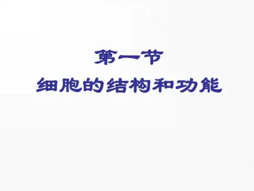 高中生物必修1细胞膜的结构和功能(上课)