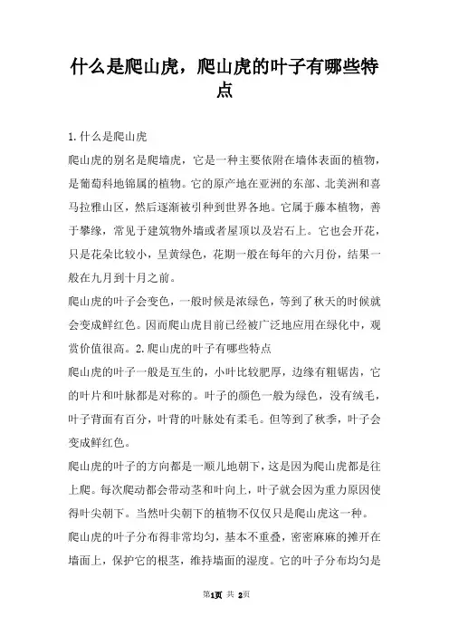 什么是爬山虎,爬山虎的叶子有哪些特点 