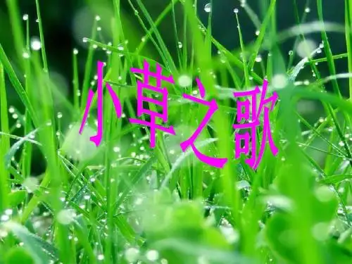 17.《小草之歌》PPT课件