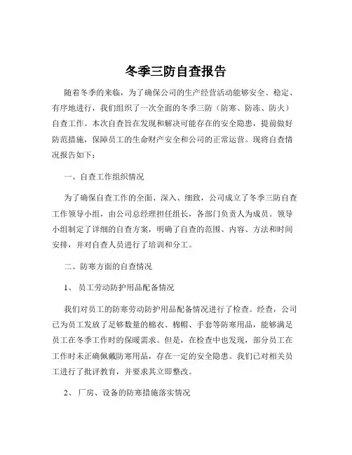 冬季三防自查报告