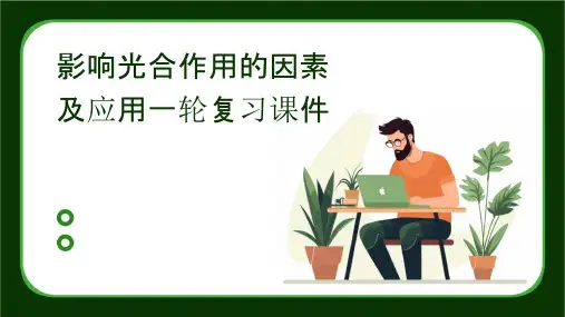 影响光合作用的因素及应用一轮复习课件