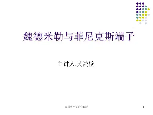 魏德米勒与菲尼克斯端子解析
