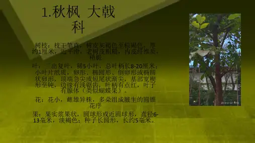 植物名称、科属和特征
