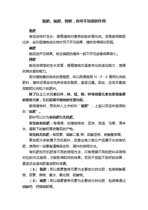 氮肥、磷肥、钾肥，你所不知道的作用
