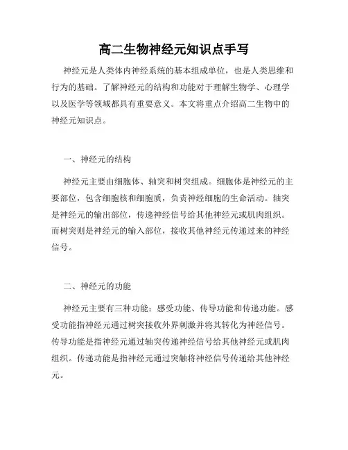 高二生物神经元知识点手写