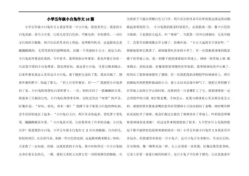 小学五年级小白兔作文10篇