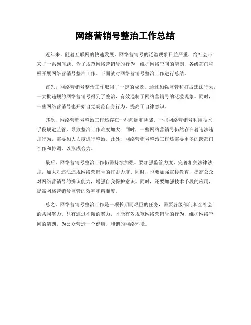 网络营销号整治工作总结