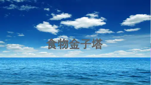 食物金子塔
