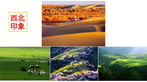 中国地理  西北地区(公开课)