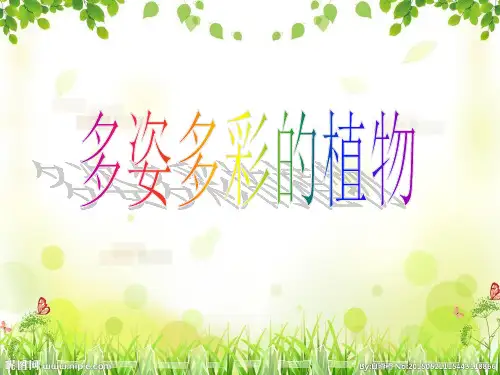 一年级下册科学课件-4.11 多姿多彩的植物11-苏教版