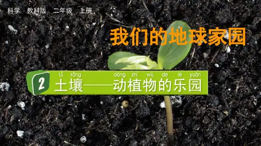 二年级科学上册第一单元  我们的地球家园第2课《土壤——动植物的乐园》教学课件