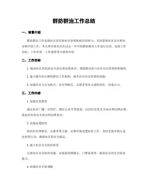 群防群治工作总结