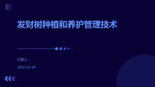 发财树种植和养护管理技术