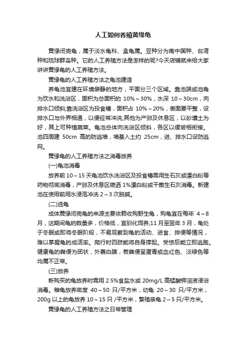 人工如何养殖黄缘龟