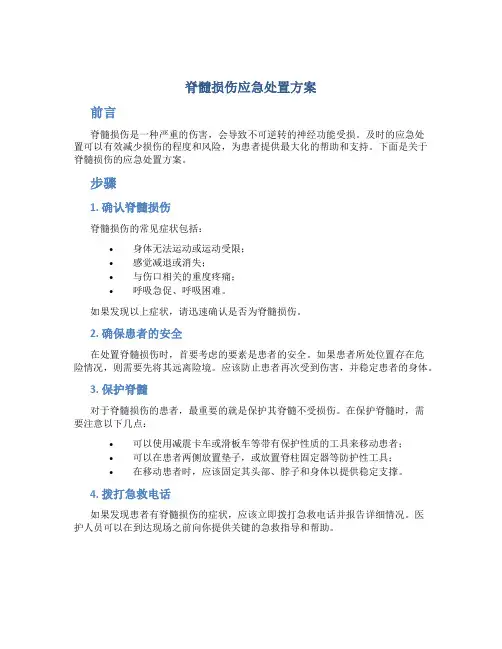 脊髓损伤应急处置方案
