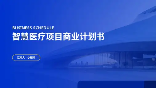 智慧医疗项目商业计划书