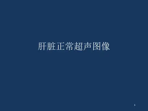讲课肝脏超声-ppt课件