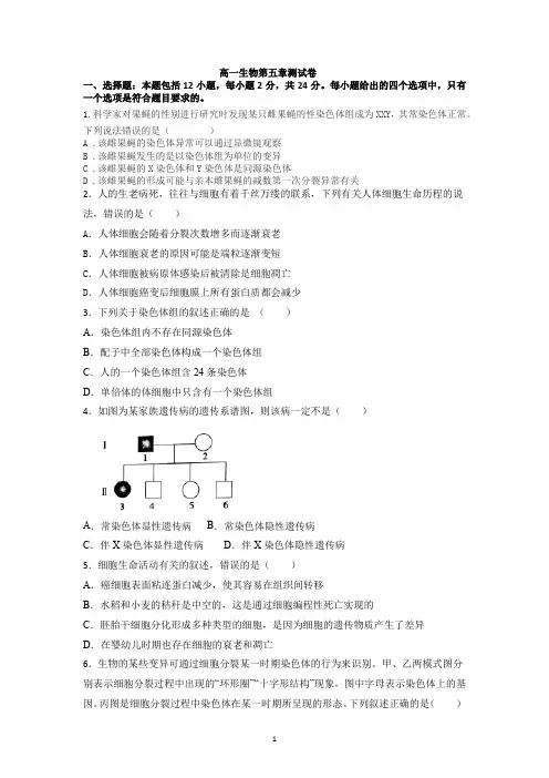 第5章基因突变及其他变异练习-高一下学期生物人教版必修2