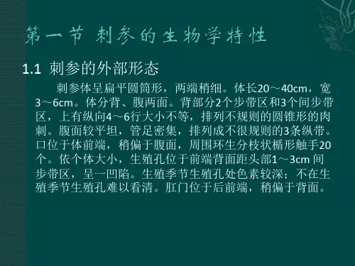 海参海蜇养殖技术PPT课件