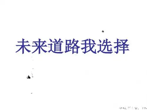 初三政治下学期未来道路我选择