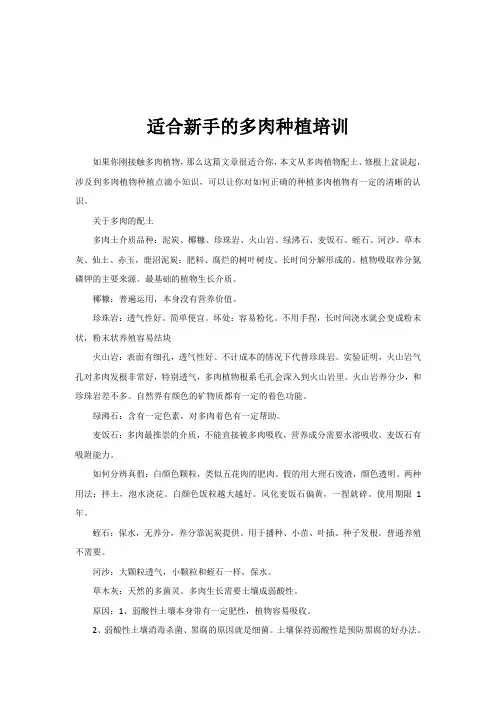 适合新手的多肉种植培训