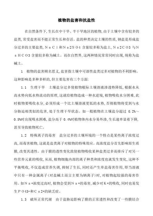 盐害对植物的影响