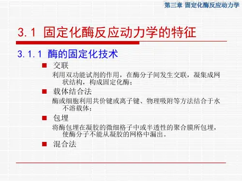 第三章 固定化酶反应动力学