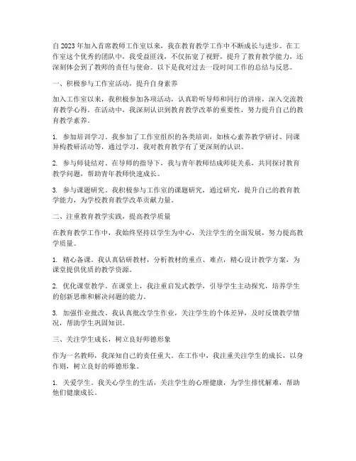 首席教师工作室成员个人工作总结